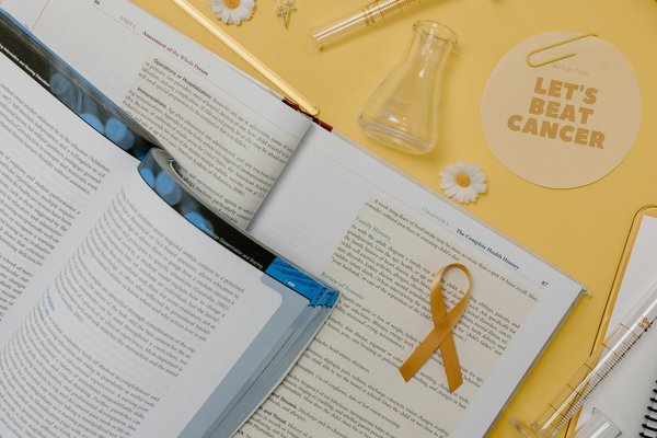 Descubra as vantagens de preparar refeições em casa para uma vida saudável